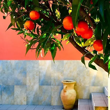Casa Vincenza *